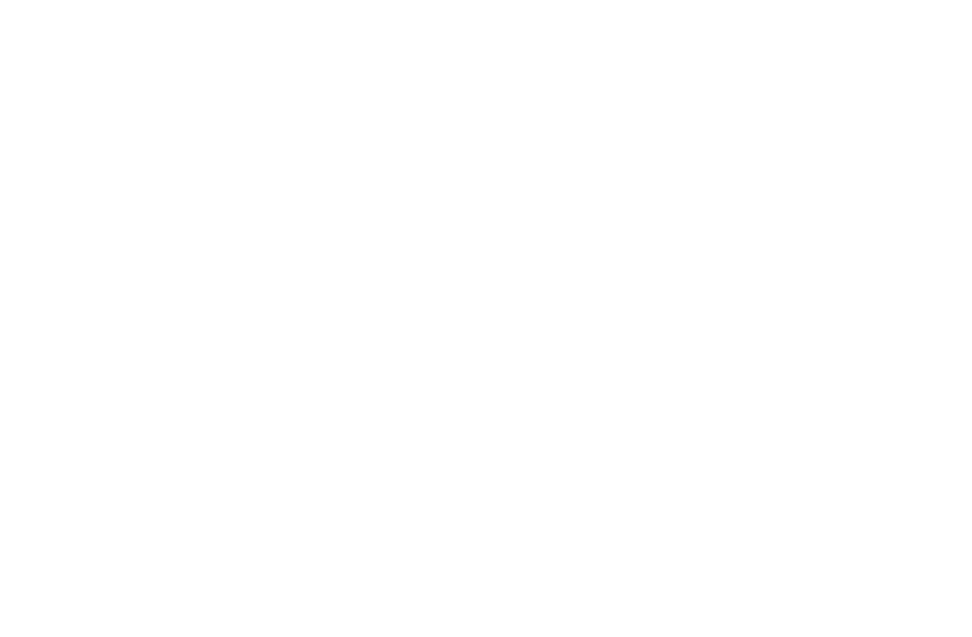 White Market District Logo